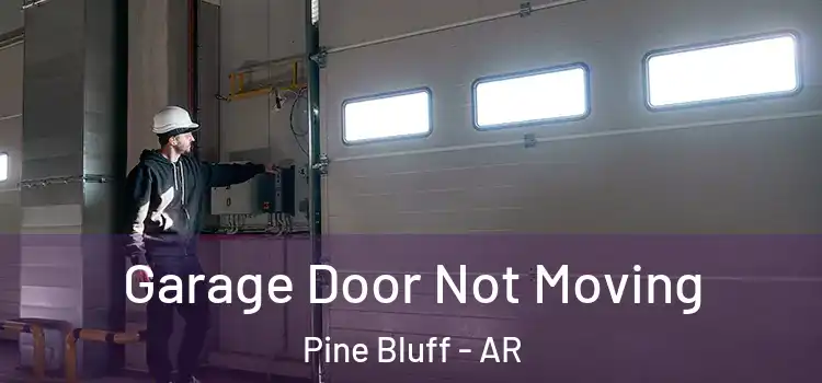  Garage Door Not Moving Pine Bluff - AR