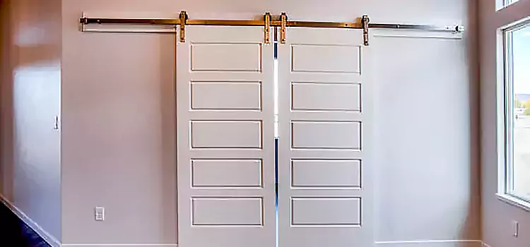 Glass Barn Door with Installation Hardware Kit Pine Bluff