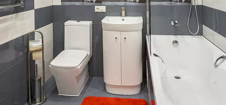 Hansgrohe Shaving Mirror Pine Bluff